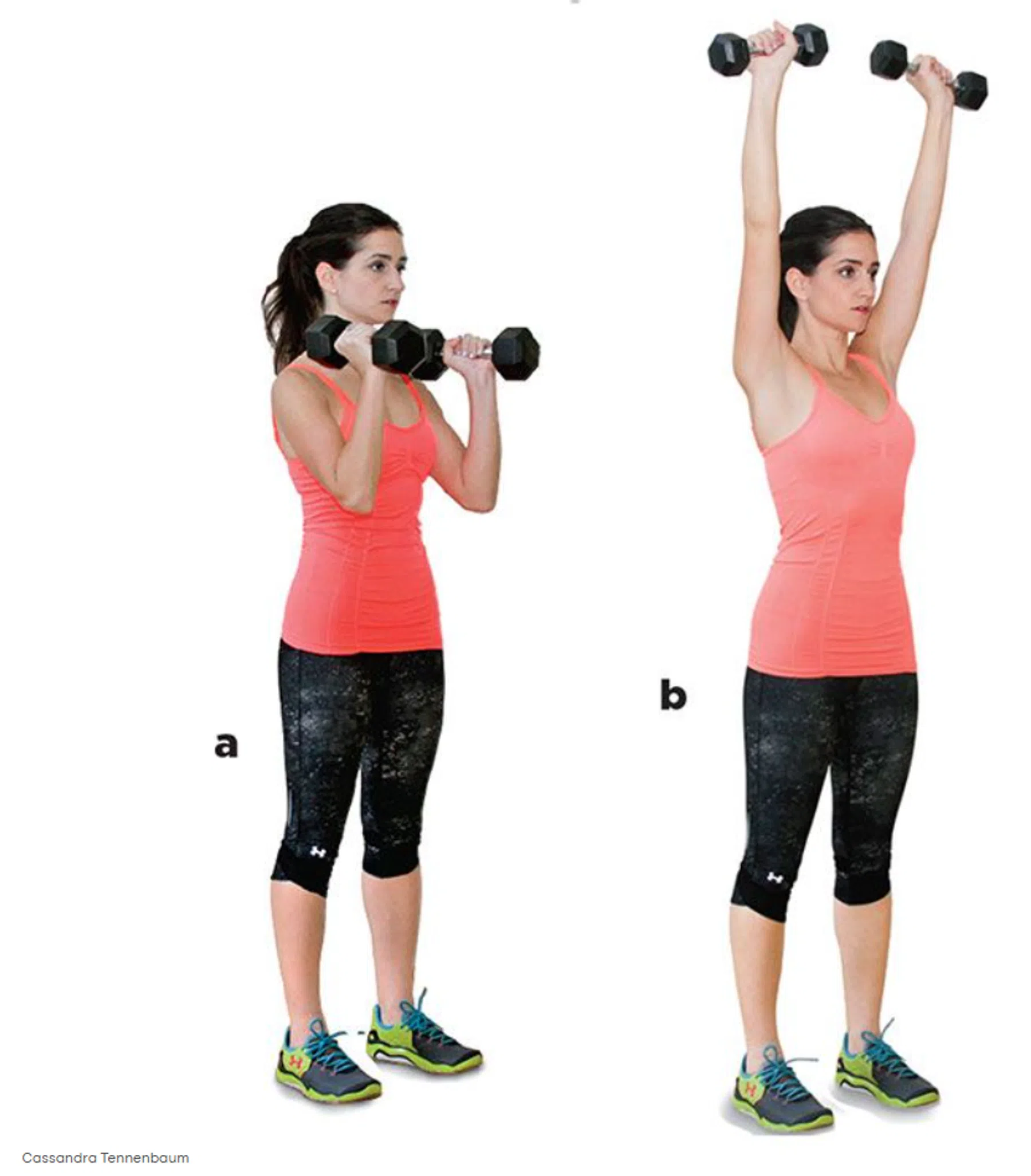 Hammer Curl to Press